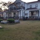 도담도담애견펜션 이미지