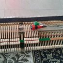 소옥개로 이미지