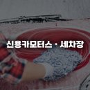 신용카모터스