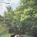 예진한복 이미지