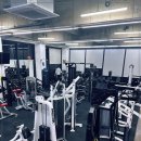 노익스짐 이미지