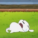로드FC김태인짐