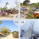 청풍명월 캠핑장 이미지