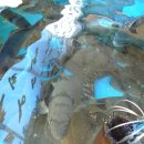 주문3리 이미지