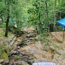 서울대공원 캠핑장 이미지