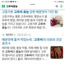 [송파 닭꼬치 맛집], 부산에서도 소문난 &#34;더 꼬치다&#34; 방문후기