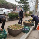 안산 와동공원 이미지