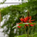 수원-0103 이미지