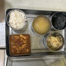 장안어린이집 뉴스피크