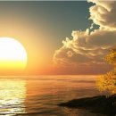 태양이용 이미지