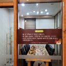 파인트리룸카페