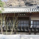 일직점곡로(일직면) 이미지