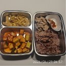 위대한 기록, 중년의 글쓰기 | 핑크몰링 4월 피드백, 성장 기록과 5월 방향