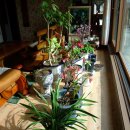 산대월리 이미지