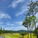 베네치아컨트리클럽 이미지