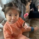 카페들랑 네이버블로그