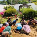 백조유치원 이미지