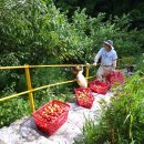 찬우농장 이미지