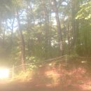 조전2리 이미지