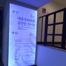 친니＆바심 | [광화문역/음식점] 라피아짜 ( La Piazza ) 세종문화회관 지하 방문후기