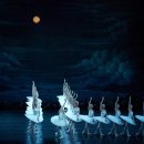 유니버설 발레단 <백조의 호수> 이미지