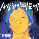 (주)더그루브엔터테인먼트 멜론 뮤직스토리