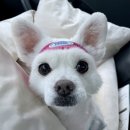 달콤체육관 이미지