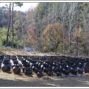 술테마박물관 이미지