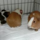 삼창빌딩 이미지