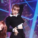 루아 마이데일리