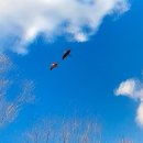 닥터홍 동물병원 이미지