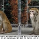 장수네이처