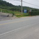 삼정삼거리 이미지