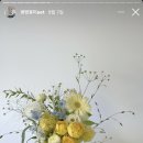 플라워물들이다 이미지