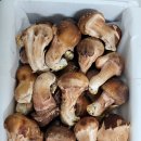 다울농장 이미지