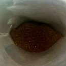 참치 컴퍼니 이미지