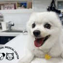 종합동물병원 이미지