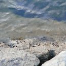 별다섯착한하우스 이미지