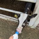 재열목장 이미지