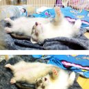 대학동-14 이미지