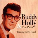 Buddy Holly - Raining in My Heart (1958) 이미지