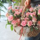 로맨티스트 이미지