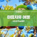 한국산림복지진흥원국립춘천숲체원 | 산림복지기관 국립춘천숲체원 숲길 걸으며 힐링체험·마음치유 여행