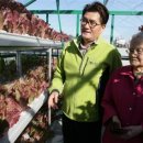 신사경로당 이미지