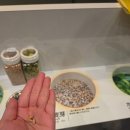 안녕 기린 | [일본_나고야] 기린 이치방 맥주공장 견학 :: 예약/교통편/시음후기/기념품후기