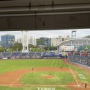 마산종합운동장 배드민턴장 | 창원 nc파크 내야석 216블록 1열 좌석 시야 ( 1열 유리가림막 후기 )