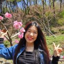 스포츠서산