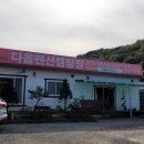 조랑말주유소 이미지