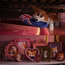 프린스 코기 이미지