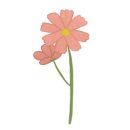 김민정항노화연구소